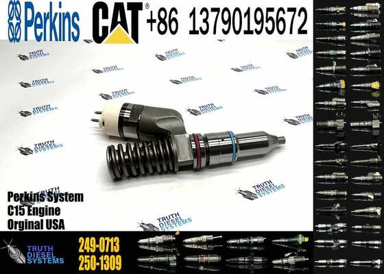 Excavator Engine Parts Fuel Injector 249-0707 249-0708 2490708 249-0712 249-0713 249-0746 250-1302 250-1303 250-1304 250-1306