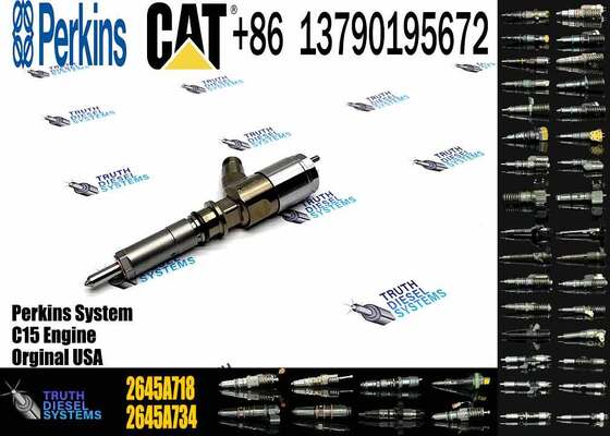 Original Quality Common Rail Fuel Injector 292-3780 2645A718 10R-7670 Engine Fuel Injector for C6.6 3116 6.6L 323D C4.4 Inyector