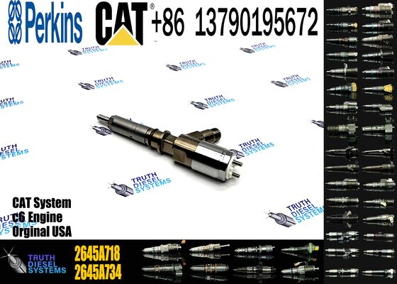 New Diesel Common Rail Fuel Injector 292-3780 2923780 2645A718 for C6.6 Engine in Stock