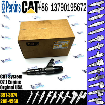 C-aterpillar Excavator Common Rail Fuel Injector 0445120348 20R-4560 391-3974 for C-AT car