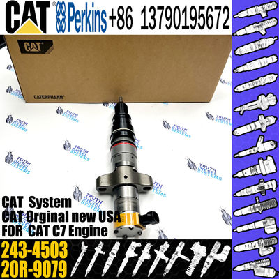 C7 Common Rail Injector 243-4502  20R-9079 2OR-8071 20R-8066  295-9166 For CAT engine