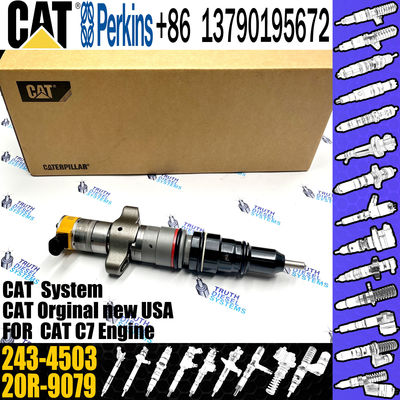 C7 Common Rail Injector 243-4502  20R-9079 2OR-8071 20R-8066  295-9166 For CAT engine