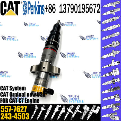 C7 C9 Fuel Injector 387-9427 557-7627 293-4071 295-1411 293-4573 10R-4763 20R-8059 20R-8057 For Caterpillar Excavator