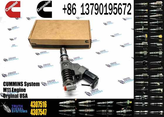 4307516 New Fuel Injector 4307516 for Diesel Engine QSN14 N14 4307516 3411691 3087560 3411765
