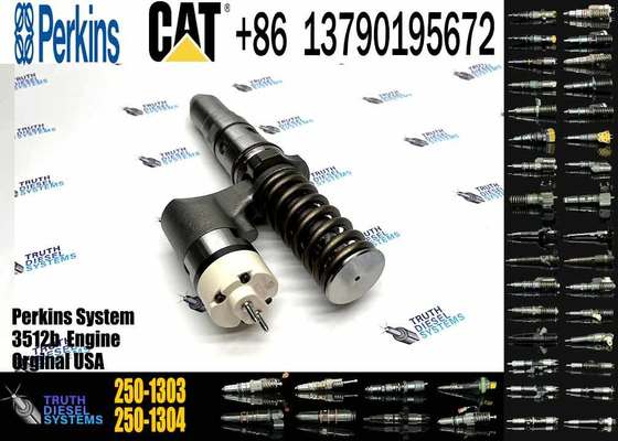 New 250-1312 250-1311 250-1308 250-1306 250-1304 250-1303 Diesel Injector for Auto Part Car Common Rail Fuel
