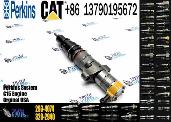 C9 HEUI Injector 258-8745 Diesel Fuel Injector 265-8106 293-4074 for Caterpillar Excavator C9 Engine Parts