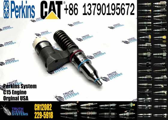 China New High Quality CH12082 229-5919 Diesel Fuel Injector for Truck Engine for with 2206A and 2206C Engines