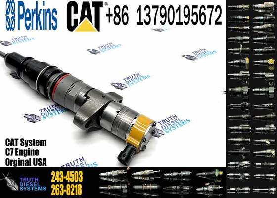 Factory Price 238-8091 241-3238 241-3239 243-4502 295-1408 387-9430 20R-8057 243-4503 20R-8058 Injector