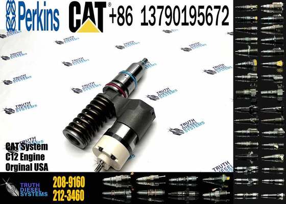 High Efficiency Quality Diesel Fuel Injector 208-9160 Common Rail Fuel Injector Engine Parts for CAT 3176 3196 C10 C12 Engines