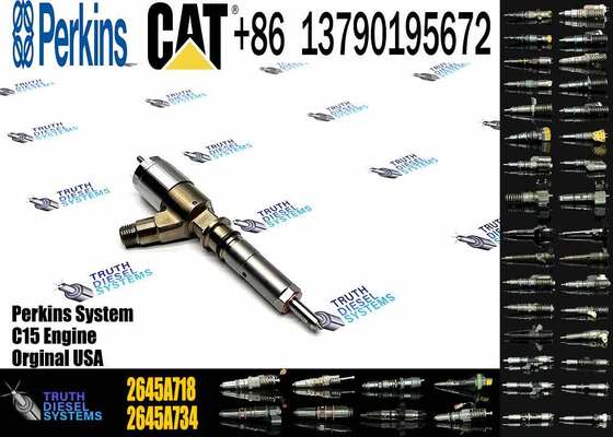 Original Quality Common Rail Fuel Injector 292-3780 2645A718 10R-7670 Engine Fuel Injector for C6.6 3116 6.6L 323D C4.4 Inyector