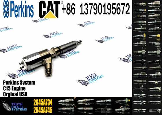 New Quality Common Rail Fuel Injector 306-9380 2645A734 Engine Fuel Injector for Engine C6.6 924HZ Inyector Injecteur