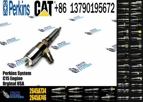 New Quality Common Rail Fuel Injector 306-9380 2645A734 Engine Fuel Injector for Engine C6.6 924HZ Inyector Injecteur