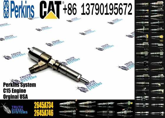 New Quality Common Rail Fuel Injector 306-9380 2645A734 Engine Fuel Injector for Engine C6.6 924HZ Inyector Injecteur