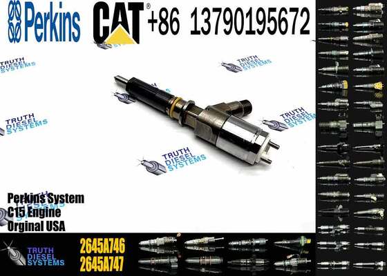 Quality Common Rail Fuel Injector 320-0677 2645A746 10R-7671 2645A738 3200677 3069377 Engine Fuel Injector for Engine 320D C4.4