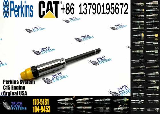 Fuel Injector 153-7923 162-0212 162-8809 162-8813 170-5181 171-9704 171-9710 172-5780 174-7526