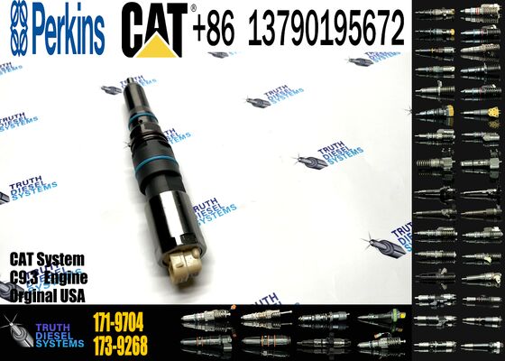 New Fuel Injector 171-9704 1719704 20R-5075 3861809 386-1809 382-0709 4563493 456-3493 for C-aterpillar C-aterpillar C9.3 D6T D7E