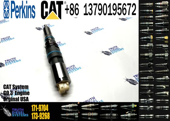 New Fuel Injector 171-9704 1719704 20R-5075 3861809 386-1809 382-0709 4563493 456-3493 for C-aterpillar C-aterpillar C9.3 D6T D7E