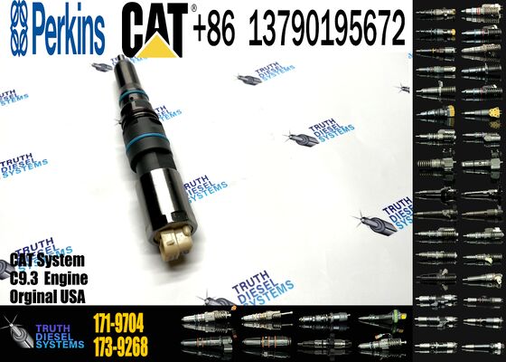 New Fuel Injector 171-9704 1719704 20R-5075 3861809 386-1809 382-0709 4563493 456-3493 for C-aterpillar C-aterpillar C9.3 D6T D7E