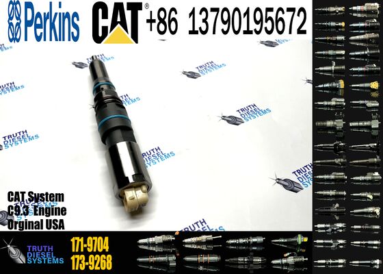 New Fuel Injector 171-9704 1719704 20R-5075 3861809 386-1809 382-0709 4563493 456-3493 for C-aterpillar C-aterpillar C9.3 D6T D7E