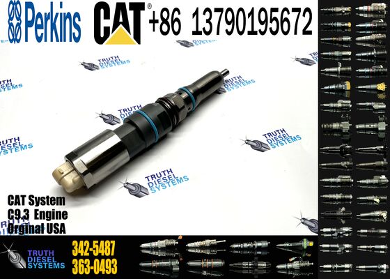 Engine Fuel Injector Common Rail Injector 456-3579 198-7912 456-3544 460-8213 456-3545 342-5487 for Cat 336E C9.3