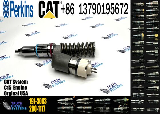 Diesel Fuel Injector 191-3003 1913003 Fuel Injector Pump 200-1117 2001117 Spare Parts C11 C13 C15 Fuel Injectors for Cat Spares